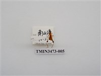 藏品(烏來粗腿小翅天牛)的圖片